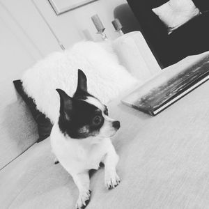 Meet your Posher, Lisa